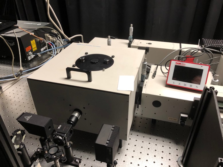 Two Photon Excited Fluorescence